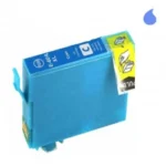 604XL C13T10H24010