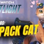 Jetpack Cat Overwatch Habilidades